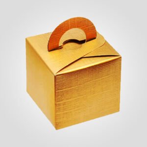 custom Gift Boxes (Custom printed Handle Boxes)