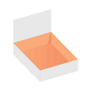 custom boxes styles (Custom printed Double Wall with Display Lid Boxes)