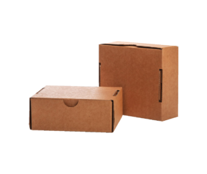 Custom Printed Postage Boxes 