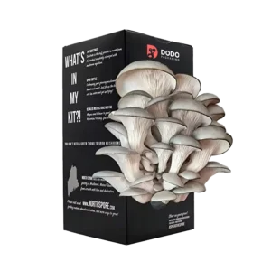Custom Cardboard Mushroom Boxes