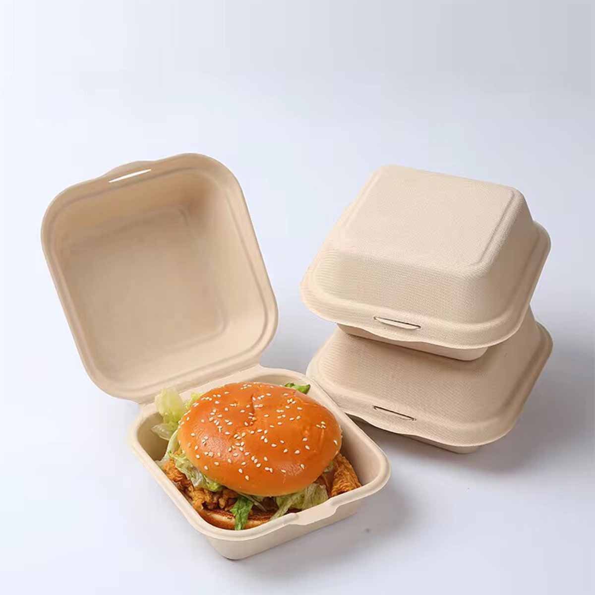 Bagasse Burger Boxes