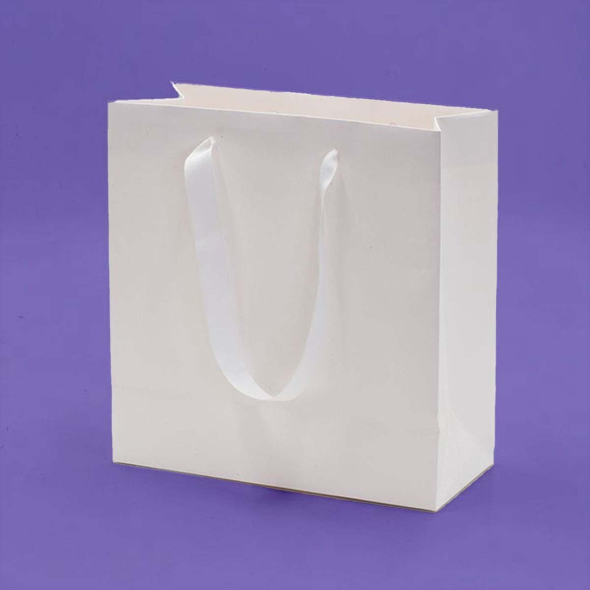 White Paper Bag