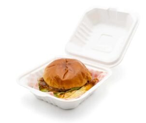 Polystyrene Burger Boxes 